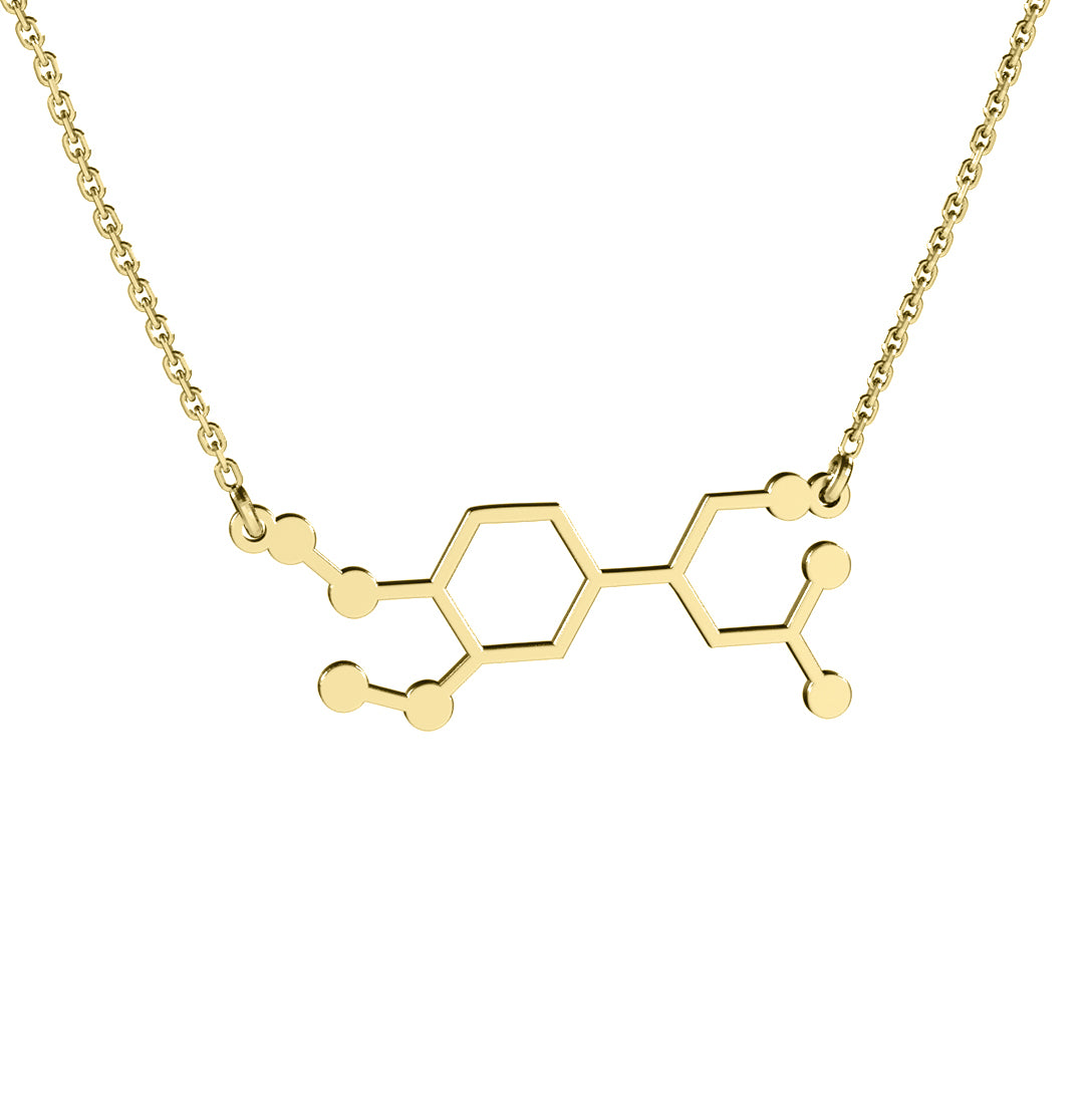 Lănțișor elegant cu pandantiv Molecula Adrenalină din argint 925 placat cu aur 18K. Cadoul ideal pentru femei curajoase, energice și pasionale. Bijuterie modernă Maison La Stéphanie, simbol al forței interioare și al libertății.
