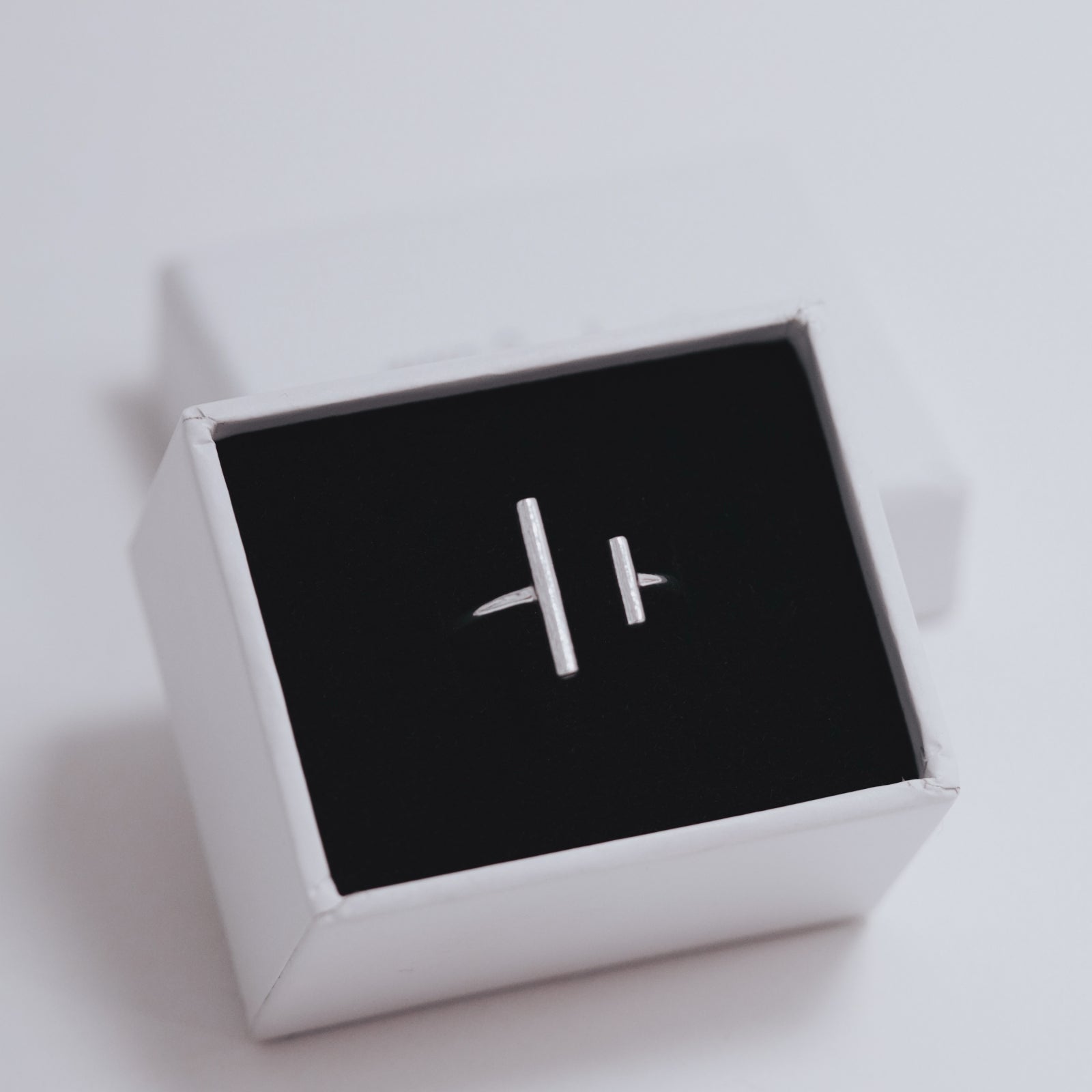 INEL ARGINT 925 DOUBLE BAR rings 